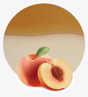 Clear - 1 Dram Lorann - Peach Flavour