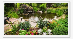 Happy Tree Ranch Pond - Portable Network Graphics