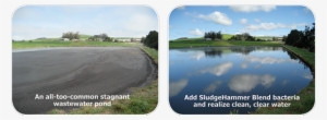 Algae Blooms In Ponds, Lakes - Wastewater Treatment Algae Ponds