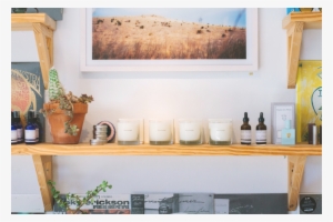 Freda Shelves Gallery 2