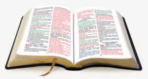Biblia 51-600x322 - Biblia Livro Png
