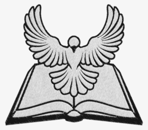 Paloma Con Biblia Dibujo