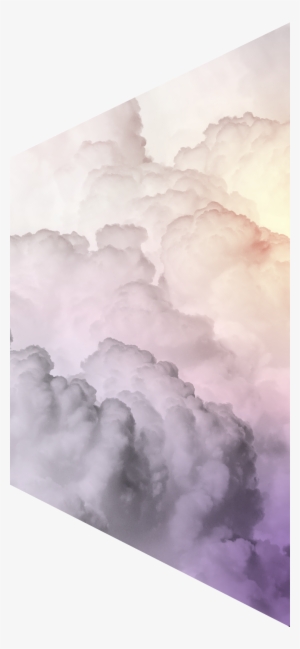 On The Client's Server And Domain Name Address To Bring - Mestiza