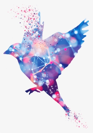 Home / Digital Strategy / Icon Digital Strategy - Illustration