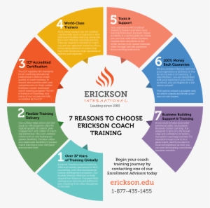 7 Reasons To Choose Erickson Coach Training - Spray Tan Colour Wheel