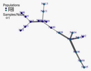 Load The Data Set - Diagram
