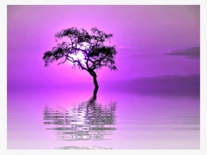 Report Abuse - Cafepress ! Samsung Galaxy S7 Case