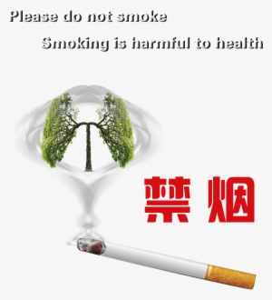 Smoking Cessation Smoking Harmful Health Protection - 公益 广告