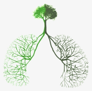 Lung Opening Made From Green Plants - 绿 肺