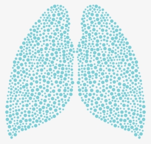 Lung Png