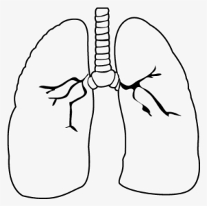 Lung Coloring Pages - Desenho De Um Pulmao