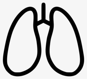 Anatomy Detoxification Hepatology Lungs Breathe Pulmonology - Pulmonology Icon Png