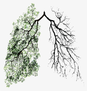 It's All A Game Open And Accepting - Tree Art Tumblr Transparent