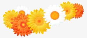 Gerbera Clipart Sunflower - Gerberas Png