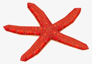 Red Mesh Starfish - Wiki