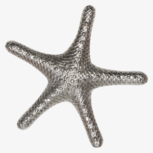 130037 Silver Starfish - Starfish