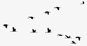 This Free Icons Png Design Of Cranes Flying In Formation