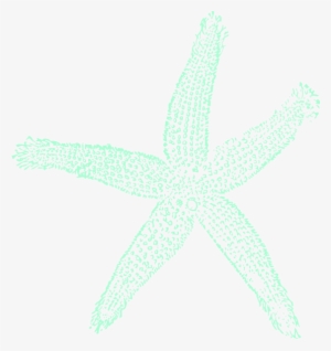 How To Set Use Tealgreen Starfish Clipart