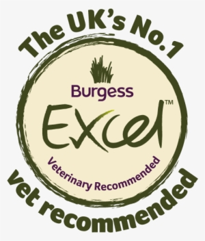 Excel Logo - Burgess Excel Chinchilla 2kg