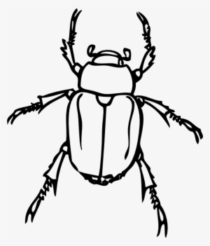 Beetle Outline Hi - Beetle Clip Art