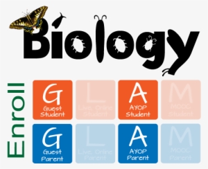 Opens Aug 1, Live And Ayop - Butterfly Collage Shower Curtain