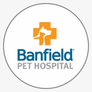 Veterinarians - Positive Coaching Alliance Png