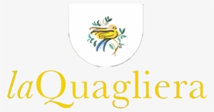 Our Olive Garden Lays On A Hill Side, Near The Town - Agriculture