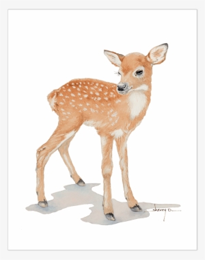 Popular Baby Deer Wall Art - Watercolor Fawn