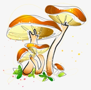 Watercolor Painting Mushroom Fungus Illustration - Watercolor Painting