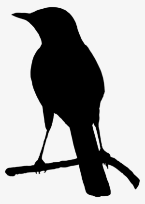 Crow Png Library Victorian Huge Freebie - Silhouette Bird Png