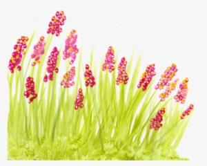 Local Artist Adds Flair To New Children's Book Series - Illustration