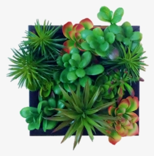Faux Succulent Living Wall