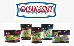 Based Ocean Mist Farms Plans To Kick Off A Consumer - Ocean Mist Farms