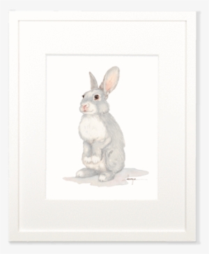 Baby Rabbit Wall Art - Domestic Rabbit