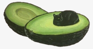 Galaxy Transparent Cat - Avocado Cat