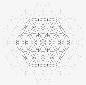 Flower Of Life Class - Circle
