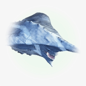 Oceanic Creatures - Bdo Nineshark