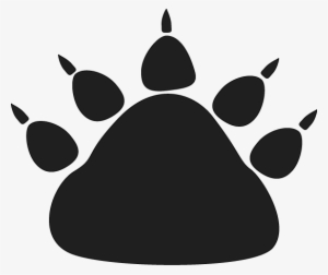 Vector Bear Paw - Bear Paw No Background
