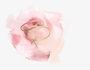 Copyright © 2018 - Garden Roses