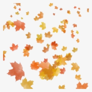 Fall Png Go Back Gallery - Maple Leaves Falling Png