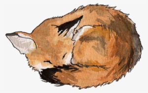 One - Tattoo Sketch Sleeping Fox
