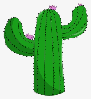 Cactus - Cactus Png