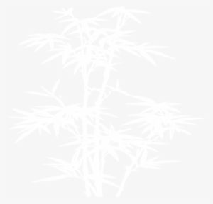 Small - Bamboo Vector Black And White Png