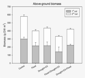 Ozone Graph - Diagram