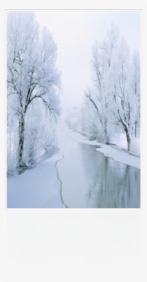Beginning November "frosty Forest" All Designs Are - Snow Bridge