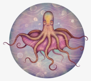 Galleries - Octopus