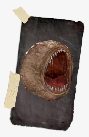 Diary Mouth - Monkfish