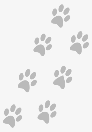 Grey Paws Clip Art - Background Pata De Gato