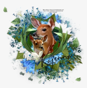 Oh Baby Deer Tag - Roe Deer