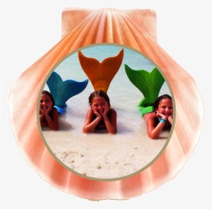 Mermaid Tails - The2tails Skin Replacements Fits The Fin Fun Jr. Monofin